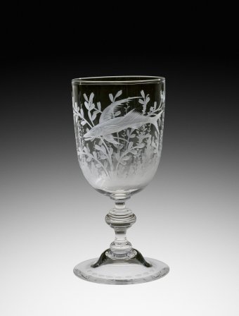 6869 - Colorless Engraved Goblet