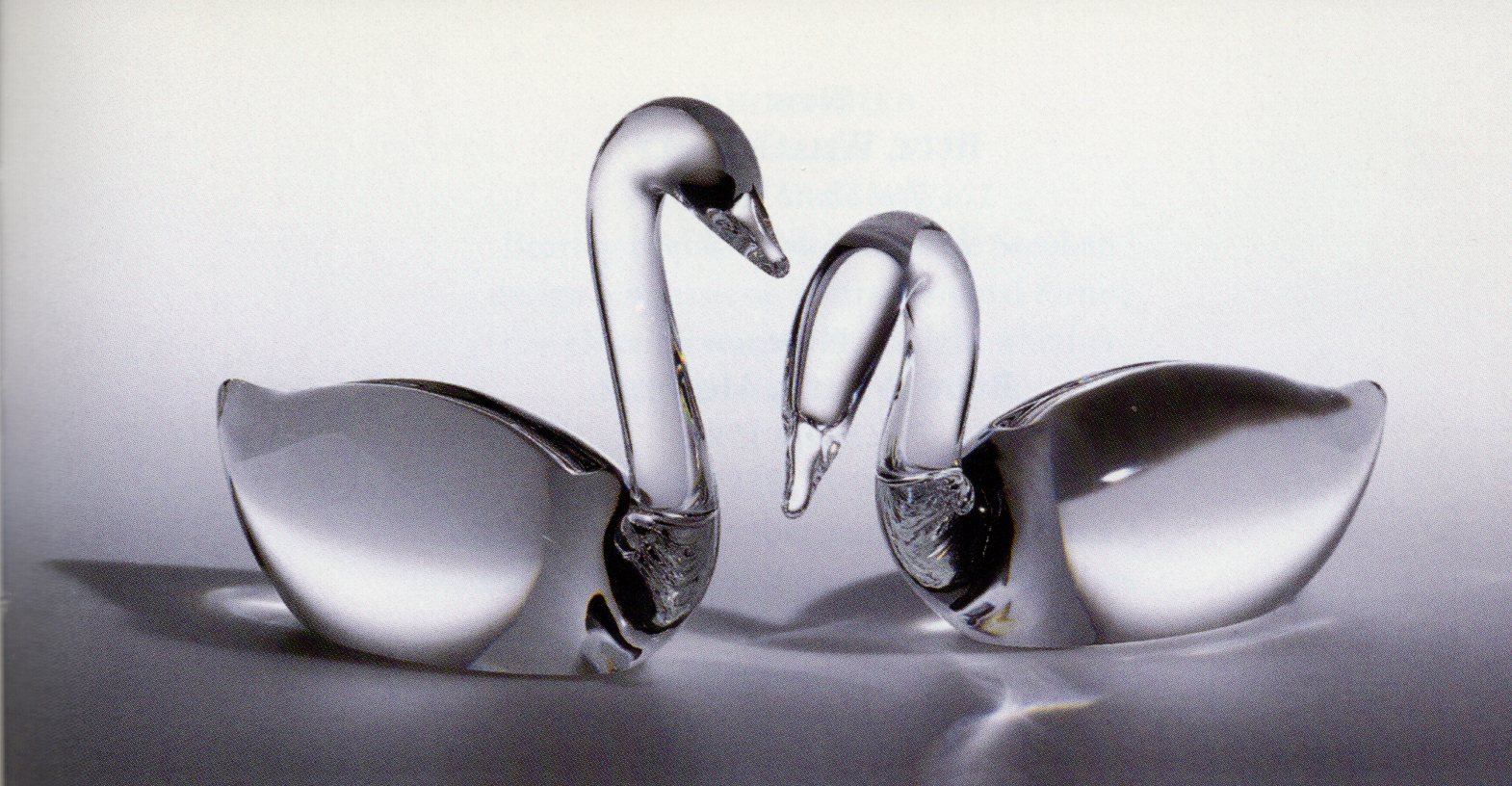 Pair of Swans