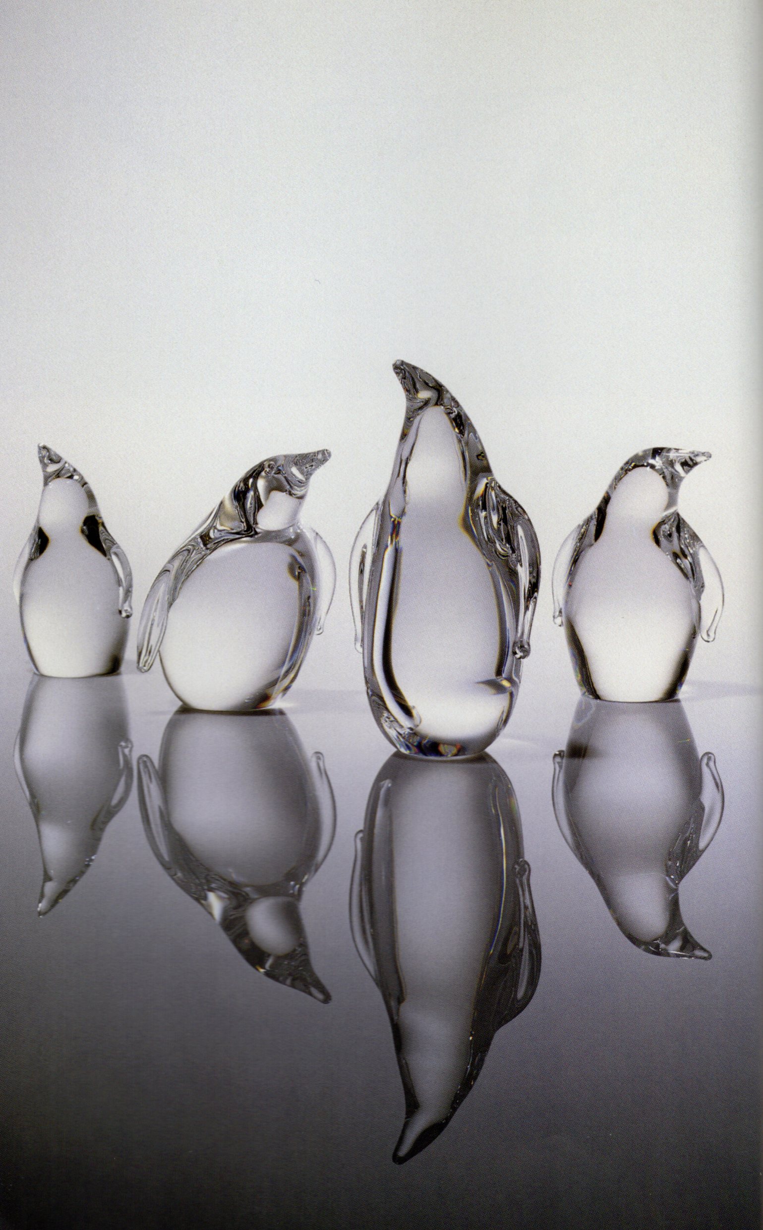 Penguin Family